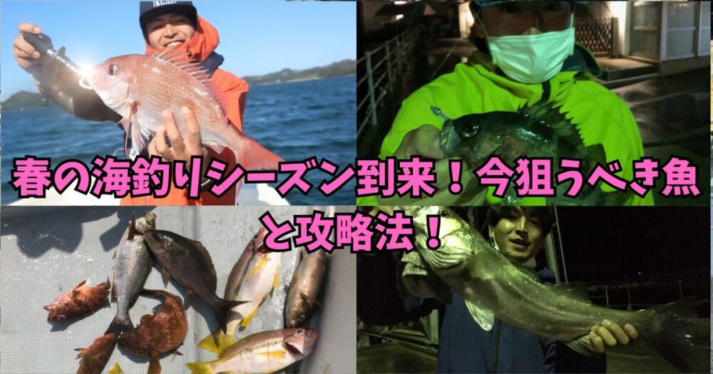 ご紹介！春に釣れる魚と攻略法！！ | たろ男.com
